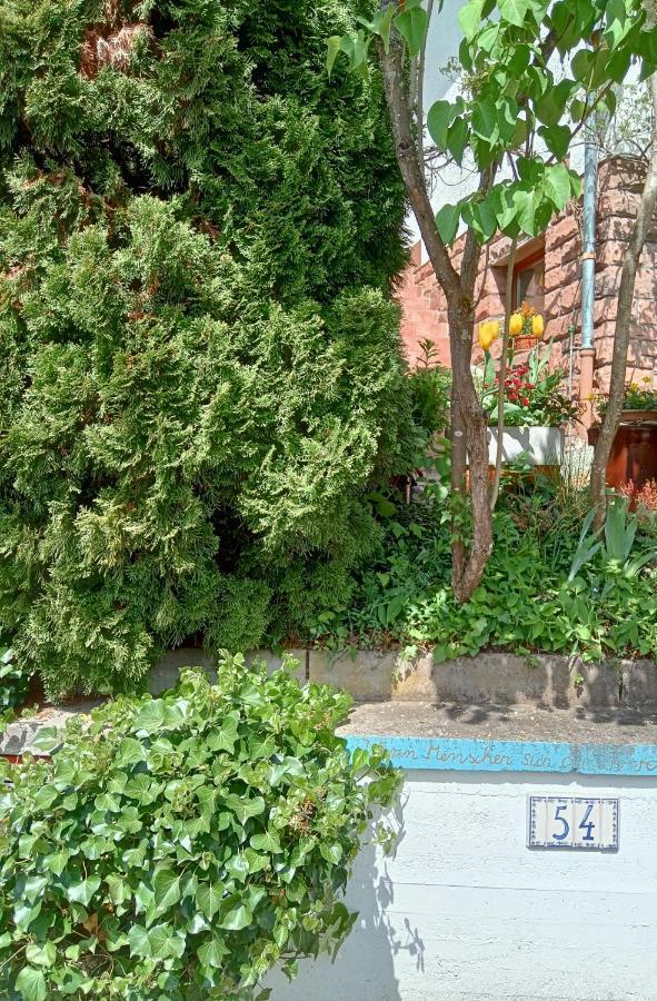 Casa La Collina Delle Ginestre Διαμέρισμα Eberbach  Εξωτερικό φωτογραφία