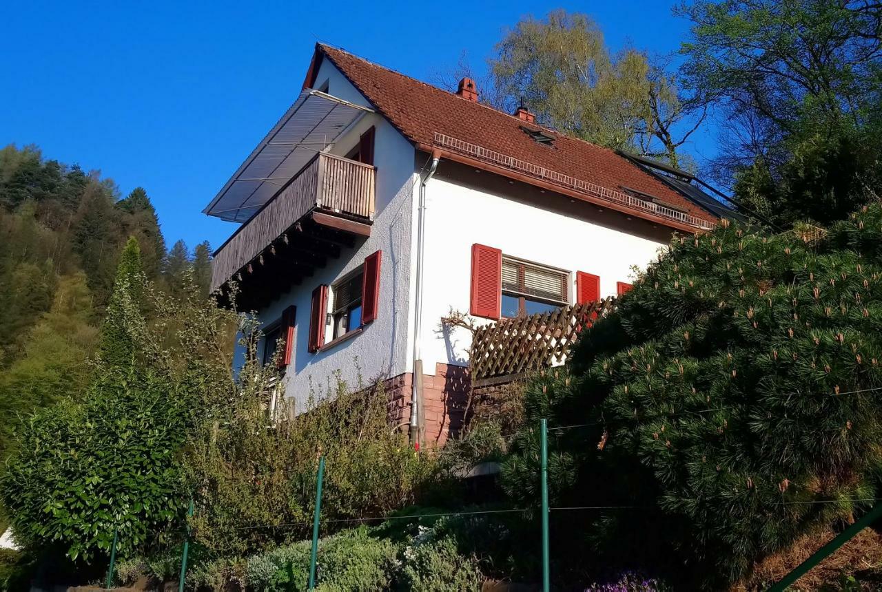 Casa La Collina Delle Ginestre Διαμέρισμα Eberbach  Εξωτερικό φωτογραφία